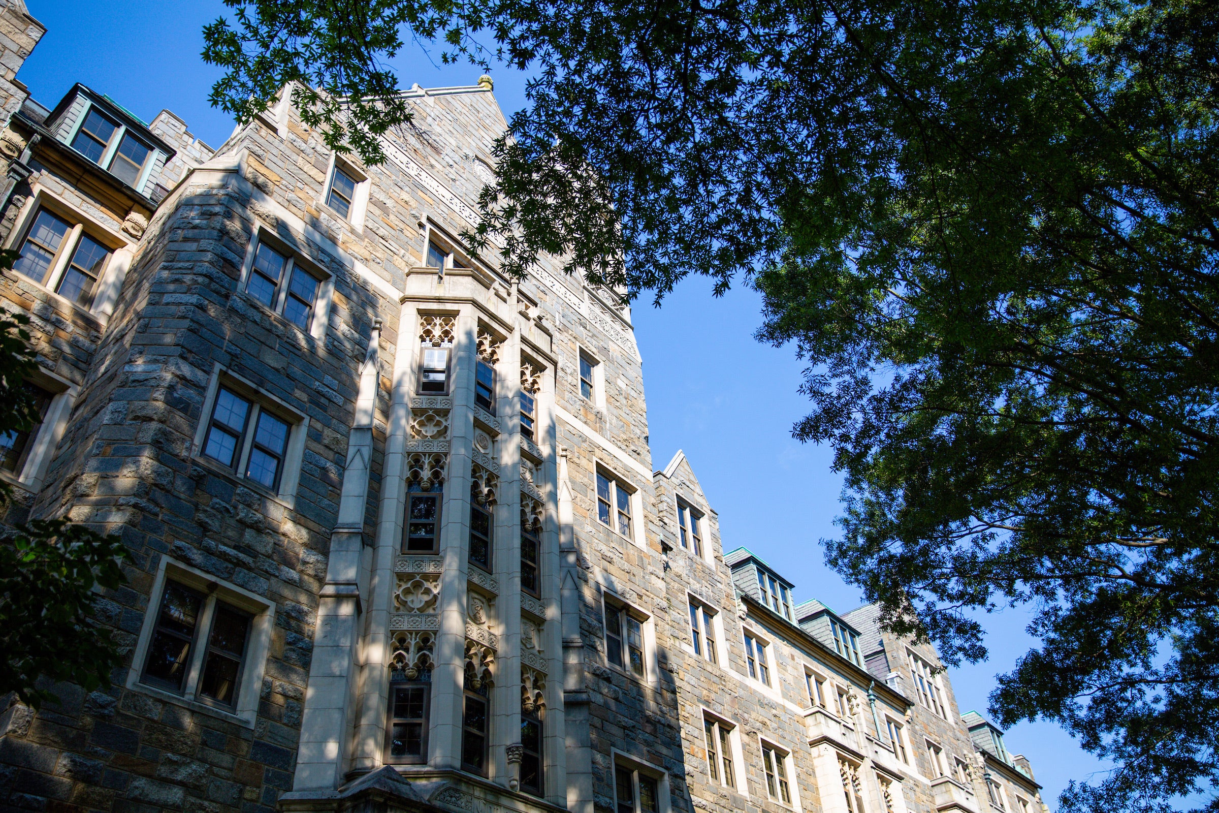 angled perspective of an imposing stone building in the shadow of a tree