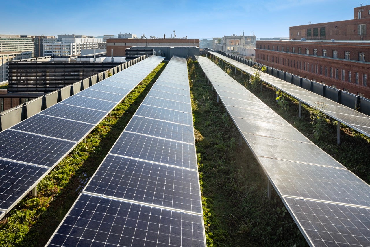 rooftop solar panels
