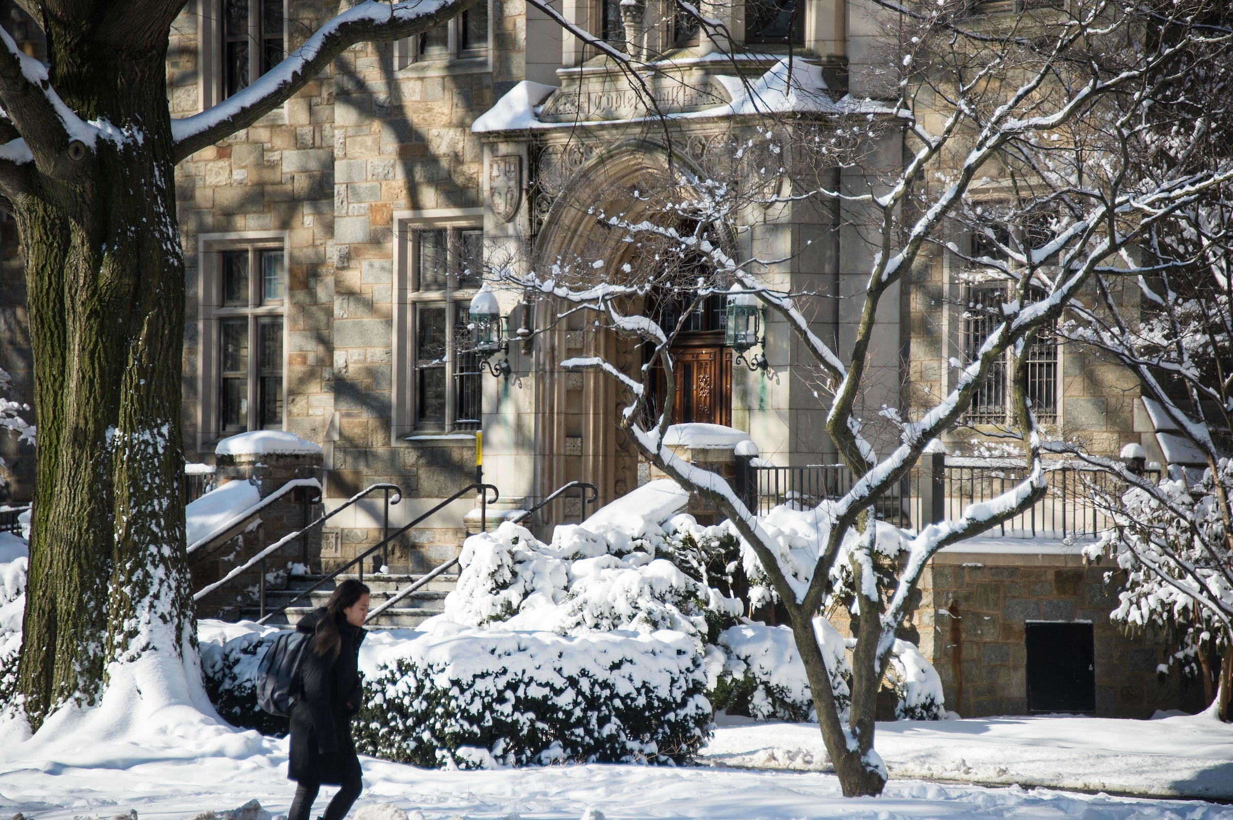 person walking on a snowy day