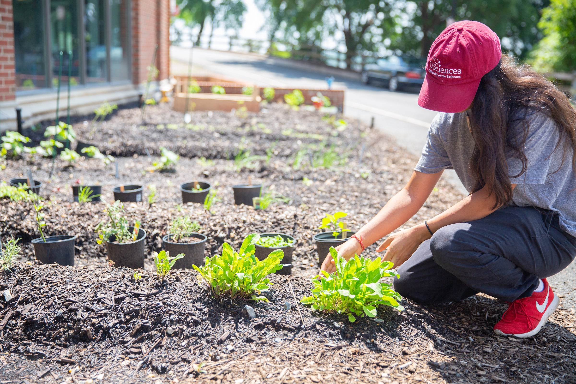 student planting in a garden