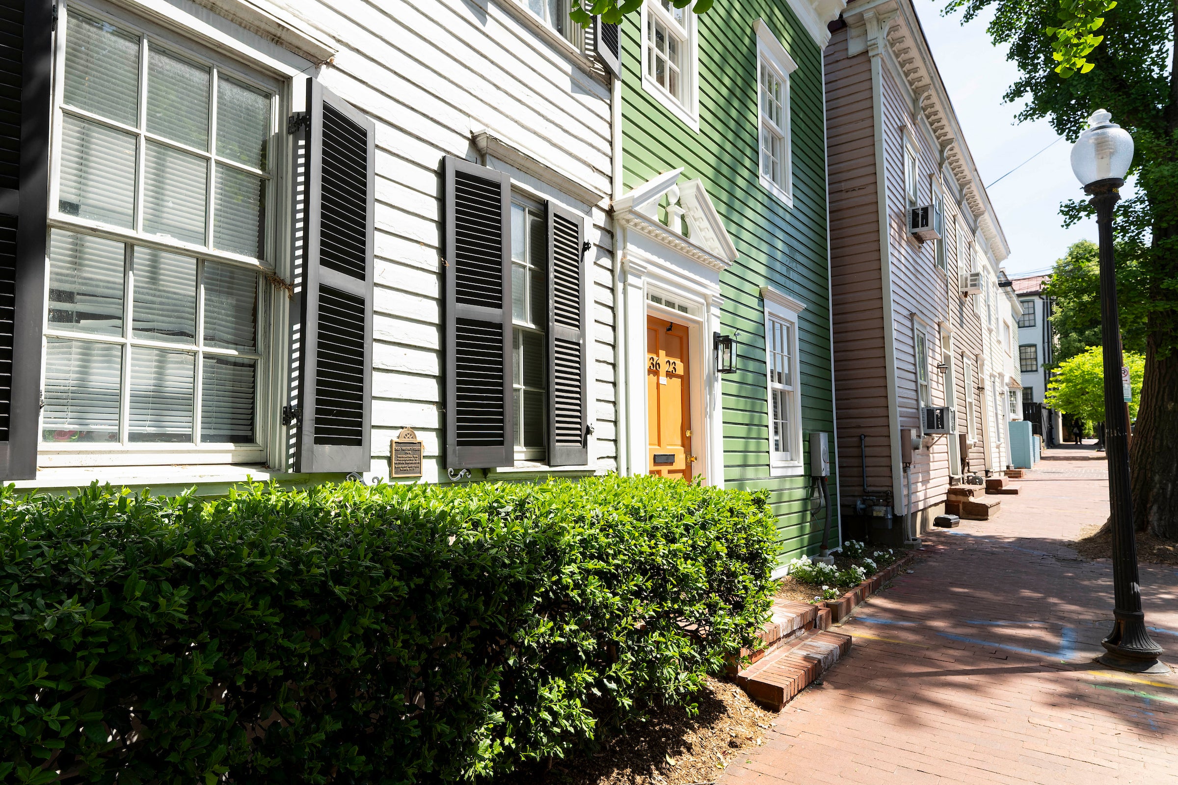 A row of white and green townhouses with colored window shutters and hedges in front