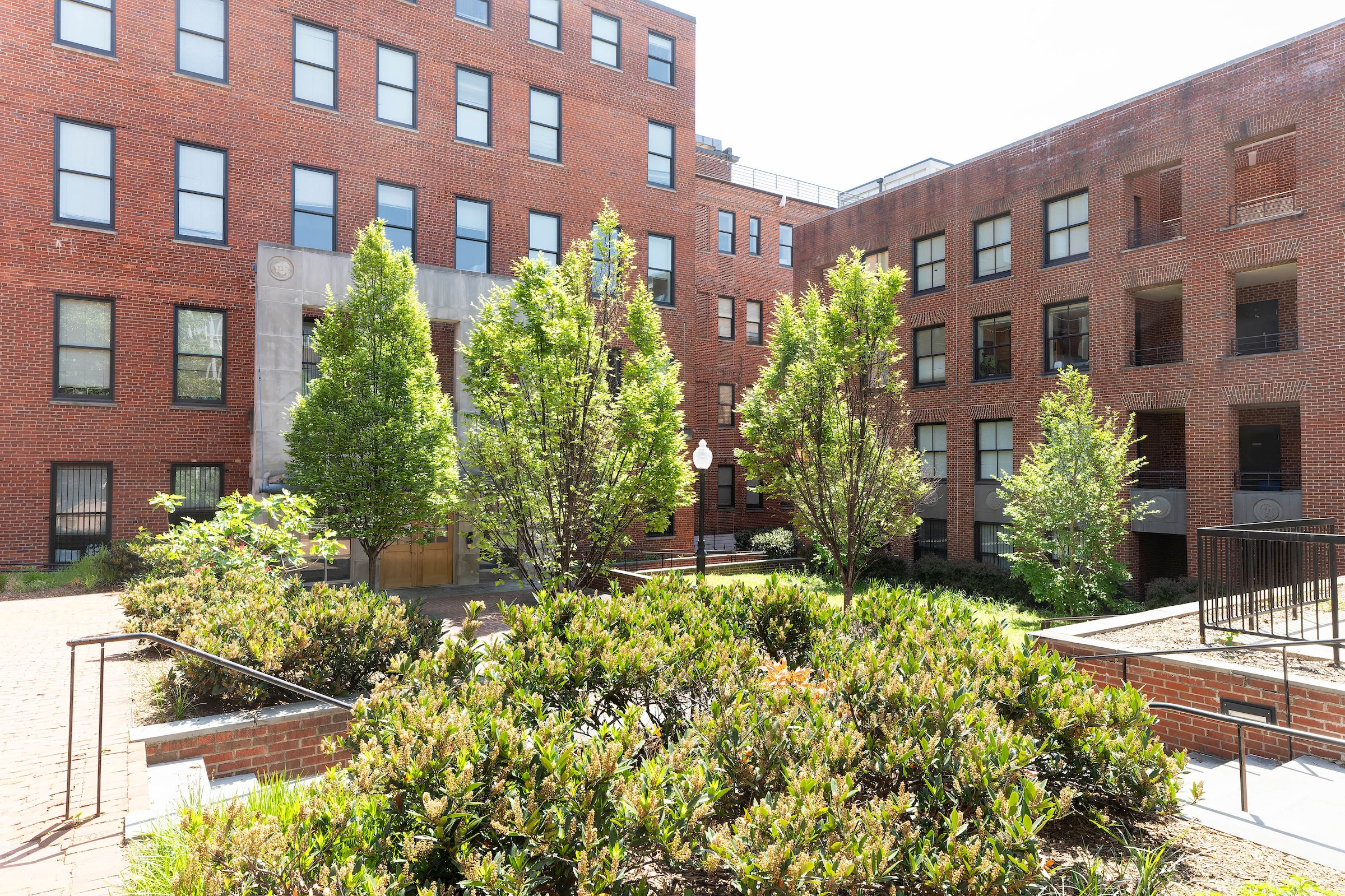 tree lined quad with brick buildings