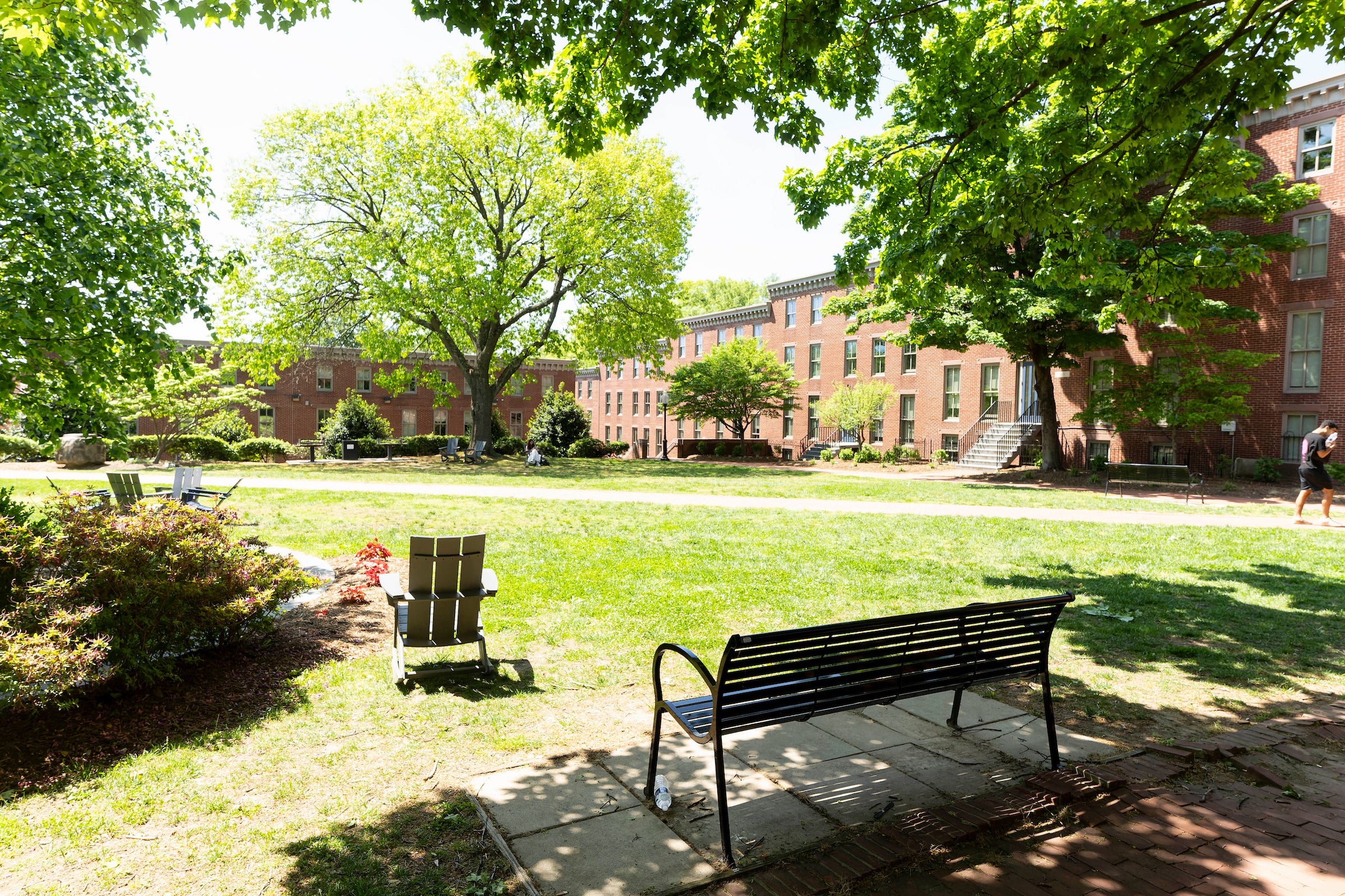 grassy quad with trees, benches, and Adirondack chairs